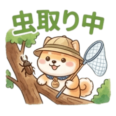 Lucky the Mame-Shiba: Summer Break