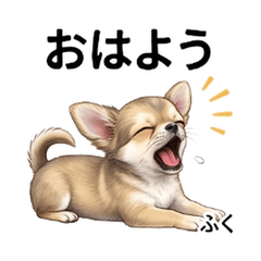 Chihuahua Daily Cute Stickers Vol01