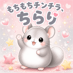 Mochi Mochi Chinchilla "Chirari"
