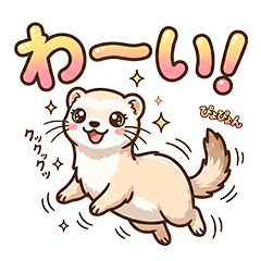 nene ferret