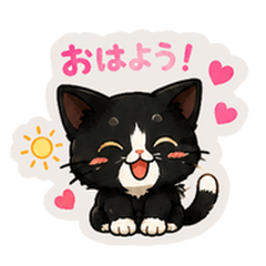Chibi Tuxedo Cat