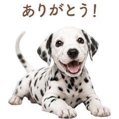 Sweet Dalmatian Greetings JP