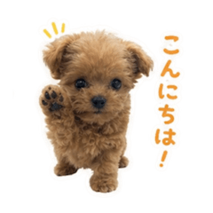 Puppy Ri-chan