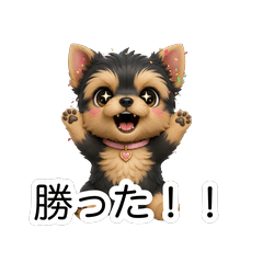 Yorkie's Sparkle Cheer