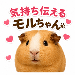 Guinea Pig: Sweet Heartfelt Expressions
