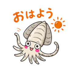 Daily Aori Squid
