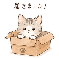 Gentle Cat Phrases