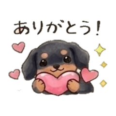 Chill dachshund
