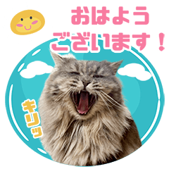 Anko's greeting