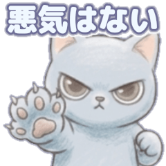No.35 Russian Blue
