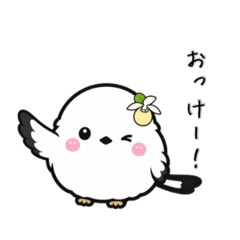 EtoRu_20260508221830