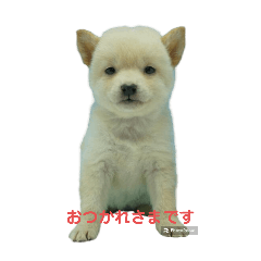 Alex_20260508222004