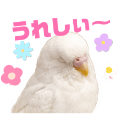 fu-ku_20260508222117