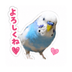 Mr.k_20260508194329