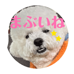 mirumonokainushi_20260508195130