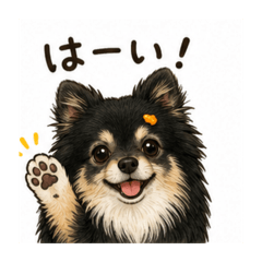 KING_20260508224407