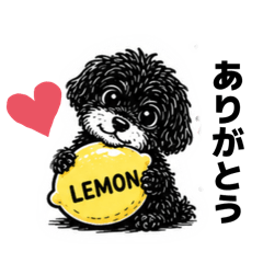 lemonade_20260508224543