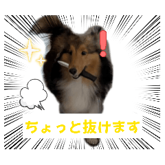 hanahana_20260509152011