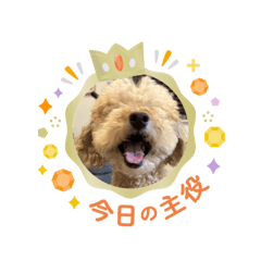 tomotomo_20260509