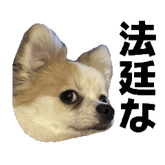 yudai_20260511171544