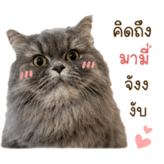 Nanizabb