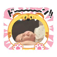 miebaba_2026511
