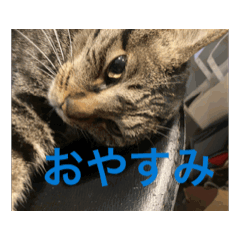 utyuunogorira_20260511183438