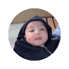 PAPO_20260511192339
