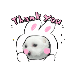 natsumi_20260511232103
