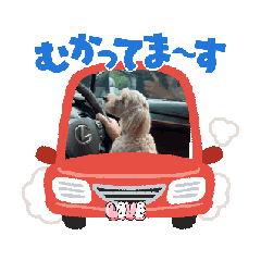 SmileSupli_20260512000514