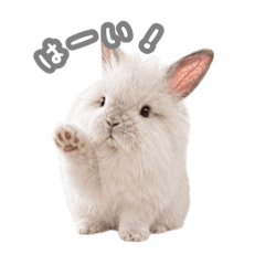 Miyazaki Co., Ltd._20260511143758