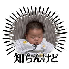 daibutu_20260508201534