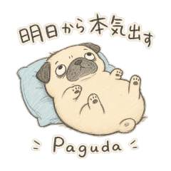 pagoromo_20260508224334