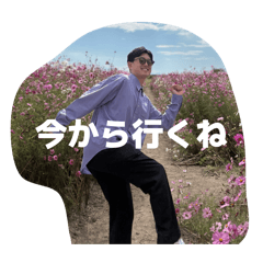 Waka_20260508201825