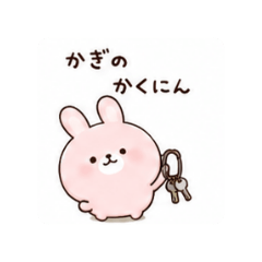 Hachi_20260508201720