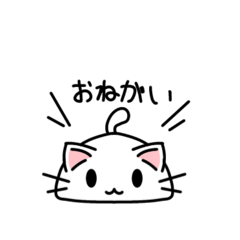 ruka_20260508225749