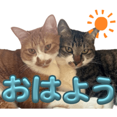 miku_20260508231137