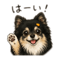 KING_20260508231648