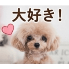 aaa_20260508231542