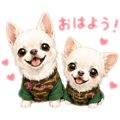 anmituhime_20260509151554