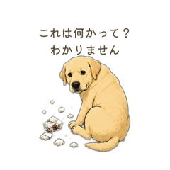 aki_20260508202020