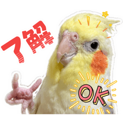 fu-ku_20260508215804