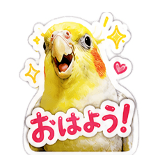 mikanmaru_20260508215729