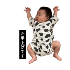ya_20260508220143