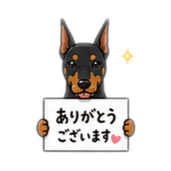 ayumi0603_20260508215917