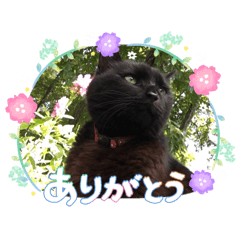 Mayu_20260508220336