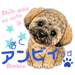 YUKA_20260508220236
