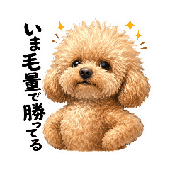 BeginnerCreator_20260508220114