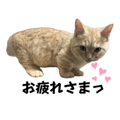kirakira_20260509002749