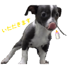 meme_20260509004034